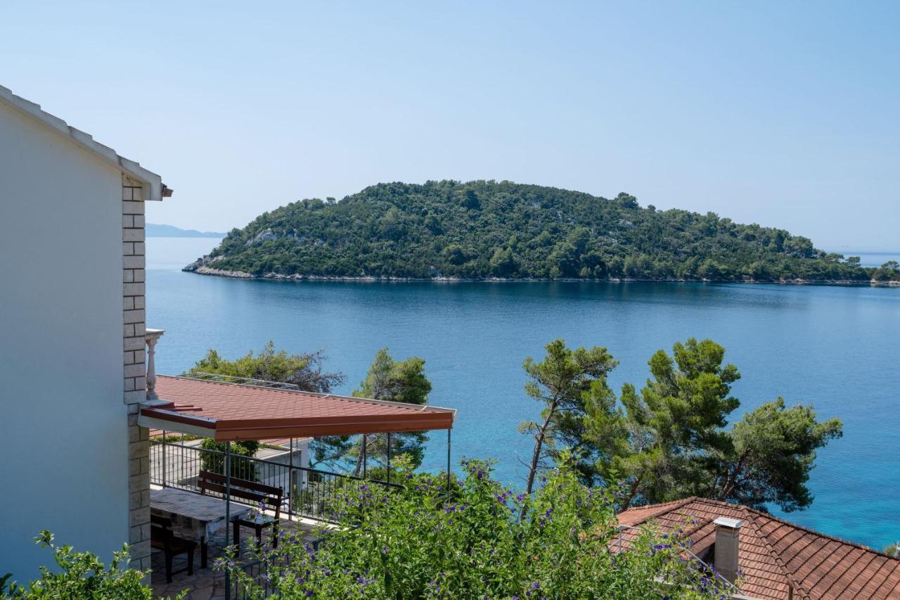 Panoramic Apartments Anic Blato  Exterior photo